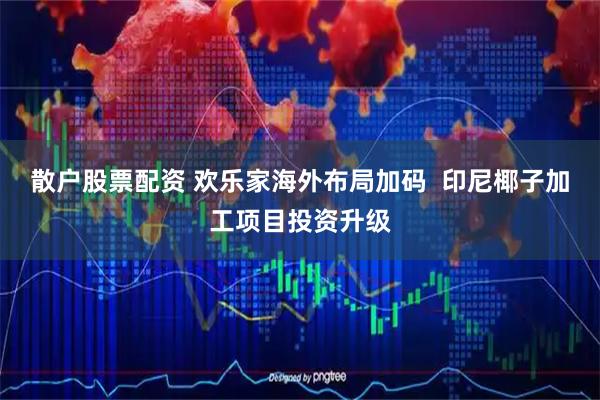 散户股票配资 欢乐家海外布局加码  印尼椰子加工项目投资升级
