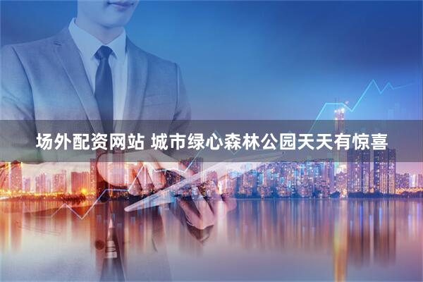 场外配资网站 城市绿心森林公园天天有惊喜